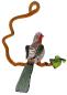 Preview: Hängevogel, Rotkehlchen auf Ast